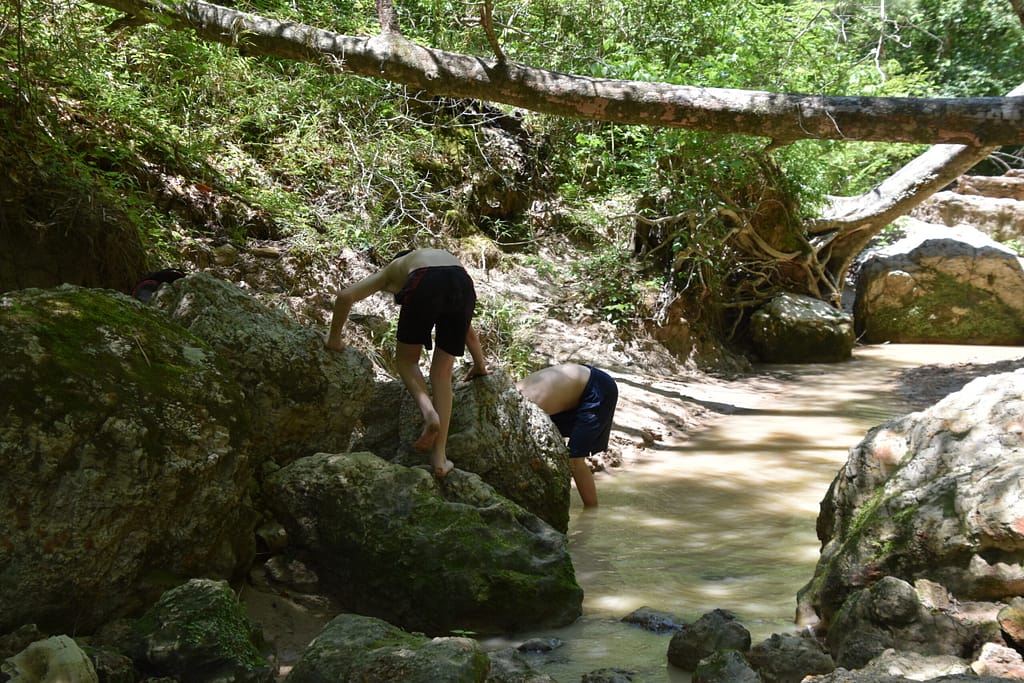 playing in the creek