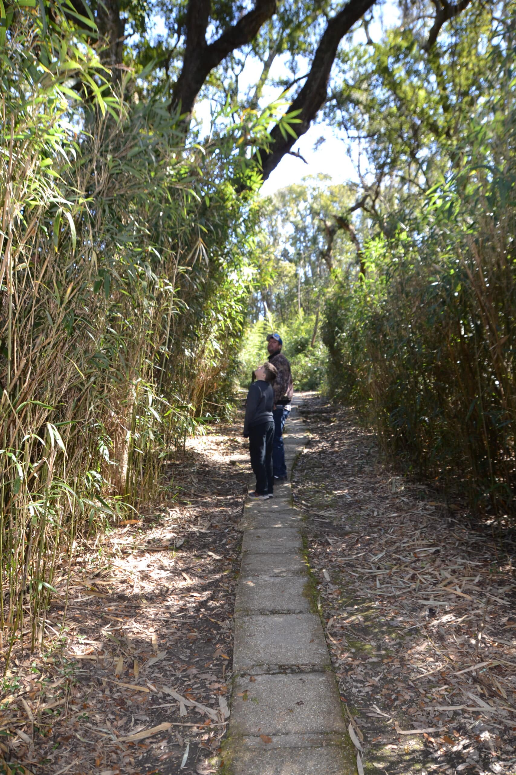 Walking along a garden trail at Avery Island Louisiana