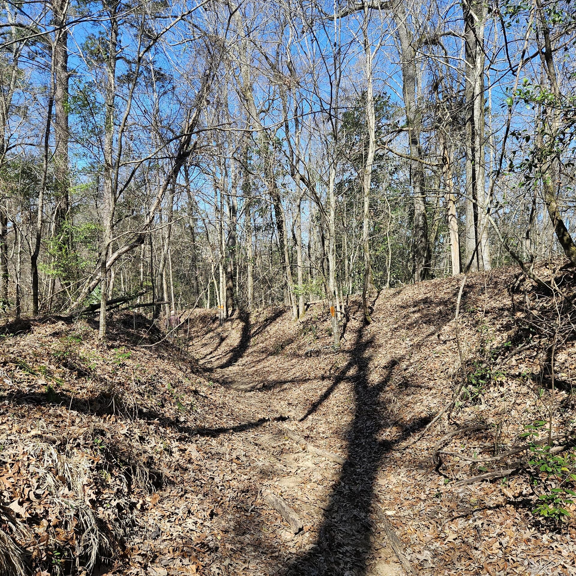 View of trail C in winter